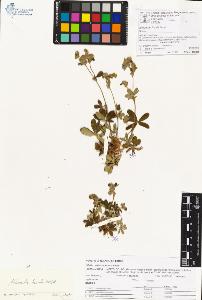 SW_BNB_s3070-00346_IMG-0000000001
