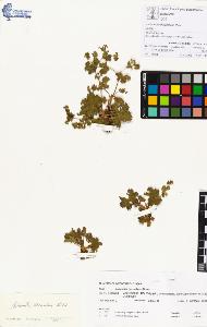 SW_BNB_s3070-00347_IMG-0000000001