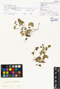 SW_BNB_s3070-00348_IMG-0000000001