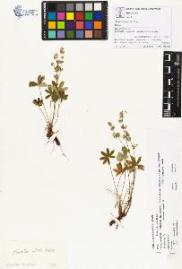 SW_BNB_s3070-00350_IMG-0000000001