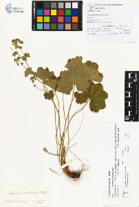 SW_BNB_s3070-00351_IMG-0000000001