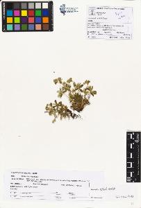 SW_BNB_s3070-00355_IMG-0000000001