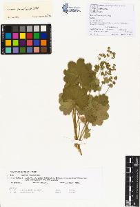 SW_BNB_s3070-00356_IMG-0000000001