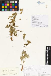 SW_BNB_s3070-00357_IMG-0000000001