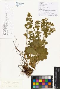 SW_BNB_s3070-00358_IMG-0000000001