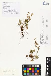 SW_BNB_s3070-00359_IMG-0000000001