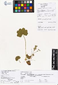 SW_BNB_s3070-00360_IMG-0000000001