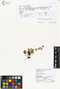 SW_BNB_s3070-00361_IMG-0000000001