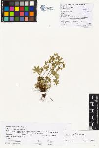 SW_BNB_s3070-00364_IMG-0000000001