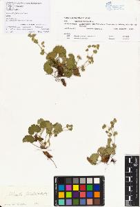 SW_BNB_s3070-00366_IMG-0000000001