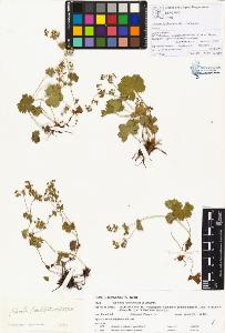 SW_BNB_s3070-00367_IMG-0000000001