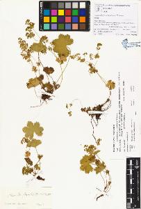 SW_BNB_s3070-00368_IMG-0000000001