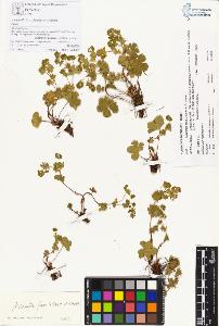 SW_BNB_s3070-00369_IMG-0000000001