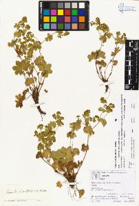 SW_BNB_s3070-00370_IMG-0000000001