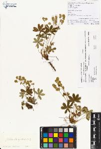 SW_BNB_s3070-00373_IMG-0000000001