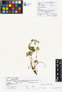 SW_BNB_s3070-00375_IMG-0000000001