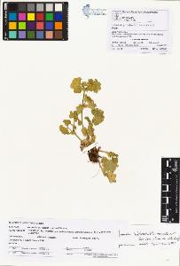 SW_BNB_s3070-00376_IMG-0000000001