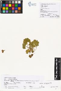 SW_BNB_s3070-00377_IMG-0000000001