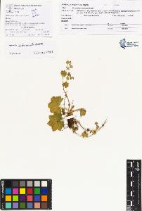SW_BNB_s3070-00378_IMG-0000000001