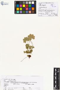 SW_BNB_s3070-00379_IMG-0000000001