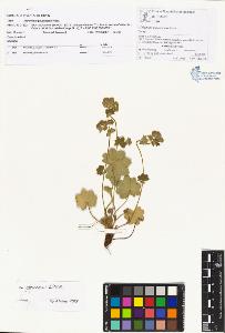 SW_BNB_s3070-00383_IMG-0000000001
