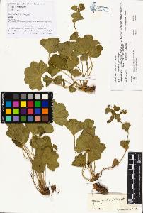 SW_BNB_s3070-00384_IMG-0000000001