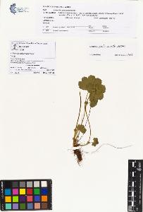SW_BNB_s3070-00385_IMG-0000000001