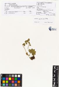 SW_BNB_s3070-00386_IMG-0000000001