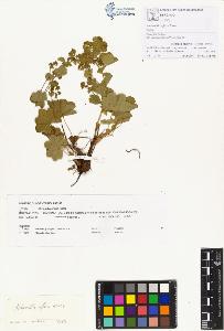 SW_BNB_s3070-00387_IMG-0000000001