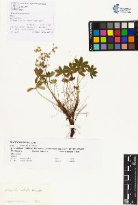 SW_BNB_s3070-00388_IMG-0000000001