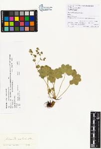 SW_BNB_s3070-00389_IMG-0000000001