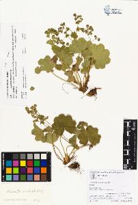 SW_BNB_s3070-00390_IMG-0000000001