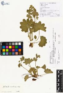 SW_BNB_s3070-00393_IMG-0000000001