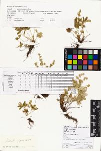 SW_BNB_s3070-00394_IMG-0000000001
