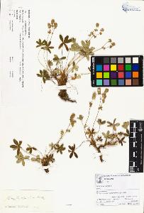 SW_BNB_s3070-00395_IMG-0000000001