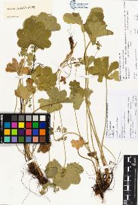 SW_BNB_s3070-00396_IMG-0000000001