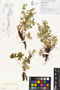 SW_BNB_s3070-00397_IMG-0000000001