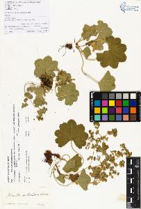 SW_BNB_s3070-00398_IMG-0000000001