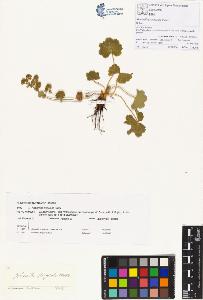 SW_BNB_s3070-00401_IMG-0000000001