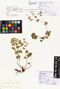 SW_BNB_s3070-00402_IMG-0000000001