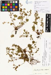 SW_BNB_s3070-00404_IMG-0000000001