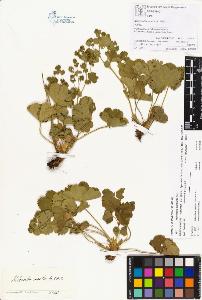 SW_BNB_s3070-00405_IMG-0000000001