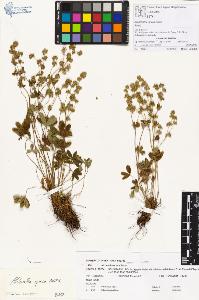 SW_BNB_s3070-00406_IMG-0000000001