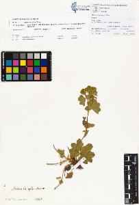 SW_BNB_s3070-00408_IMG-0000000001