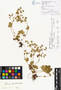 SW_BNB_s3070-00409_IMG-0000000001