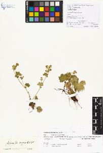 SW_BNB_s3070-00414_IMG-0000000001