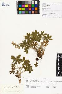 SW_BNB_s3070-00415_IMG-0000000001