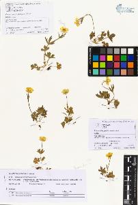 SW_BNB_s3070-00429_IMG-0000000001