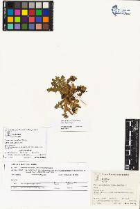 SW_BNB_s3070-00430_IMG-0000000001