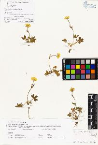 SW_BNB_s3070-00431_IMG-0000000001